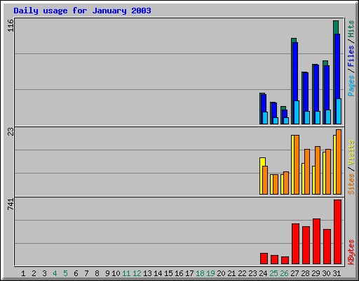 Daily usage for January 2003