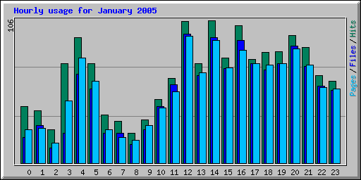 Hourly usage for January 2005